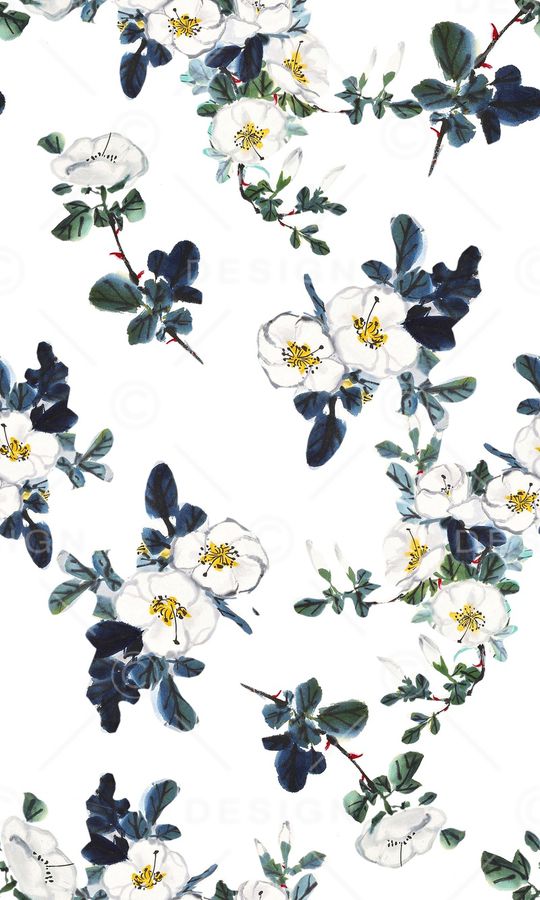 国画花卉、花鸟、水墨画、中国风印花华亿平台图片