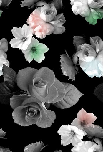 851002-时尚玫瑰棉花花卉-黑灰