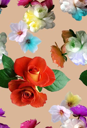 851003-时尚玫瑰棉花花卉-杏色