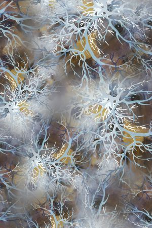 色块印花华亿平台图片