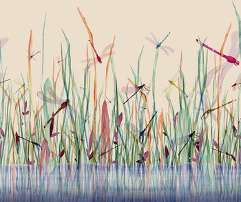 昆虫印花华亿平台图片