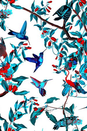 小鸟。欧美大牌男装印花华亿平台图片