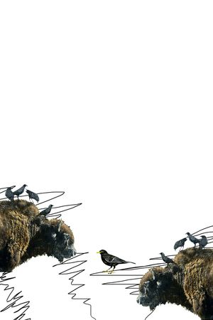 牛印花华亿平台图片