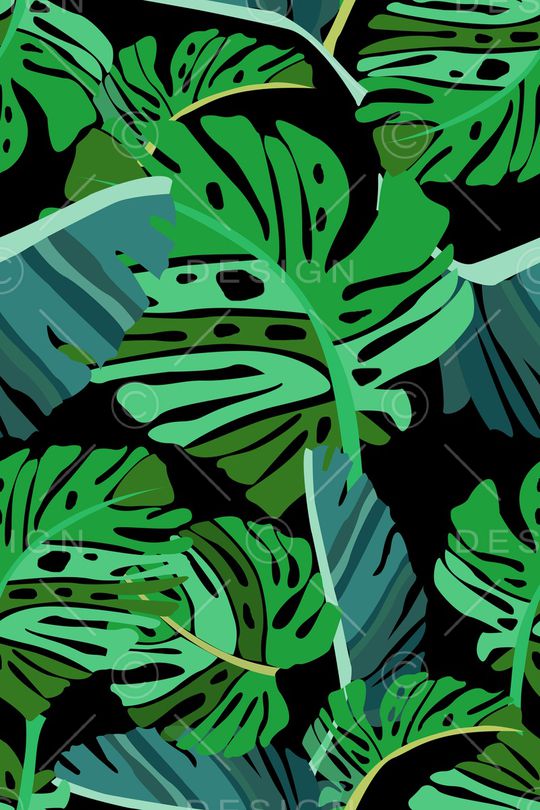 棕榈叶印花华亿平台图片