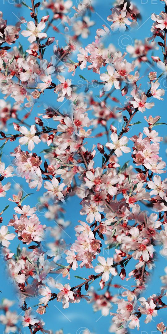 花朵印花华亿平台图片