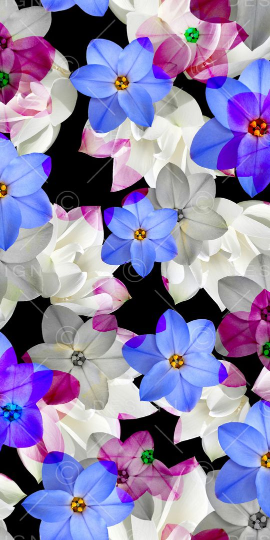 花朵印花华亿平台图片