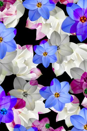 花朵印花华亿平台图片