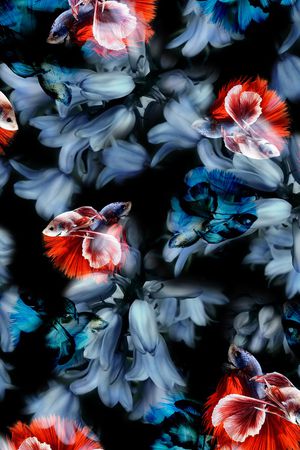 花朵印花华亿平台图片