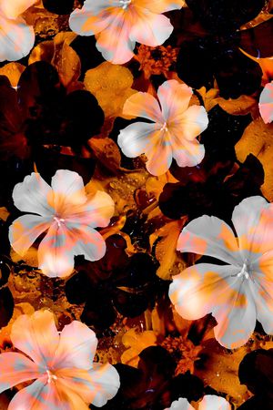 花朵印花华亿平台图片