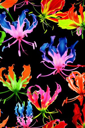 仿数码印花华亿平台图片