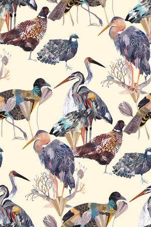 女装印花华亿平台图片