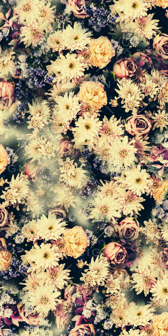 绿叶印花华亿平台图片