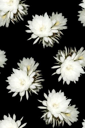 女装印花华亿平台图片