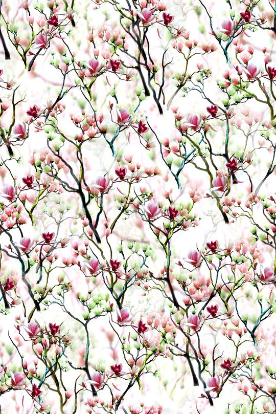 女装印花华亿平台图片