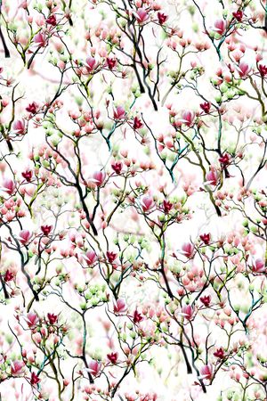 女装印花华亿平台图片