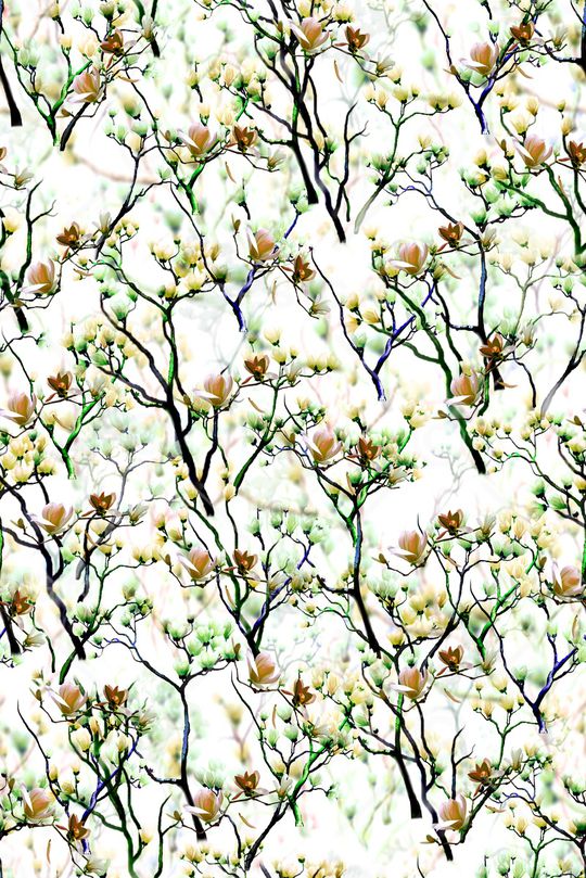 女装印花华亿平台图片