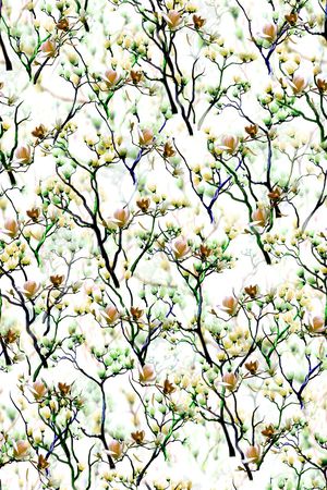 女装印花华亿平台图片