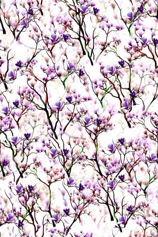 女装印花华亿平台图片