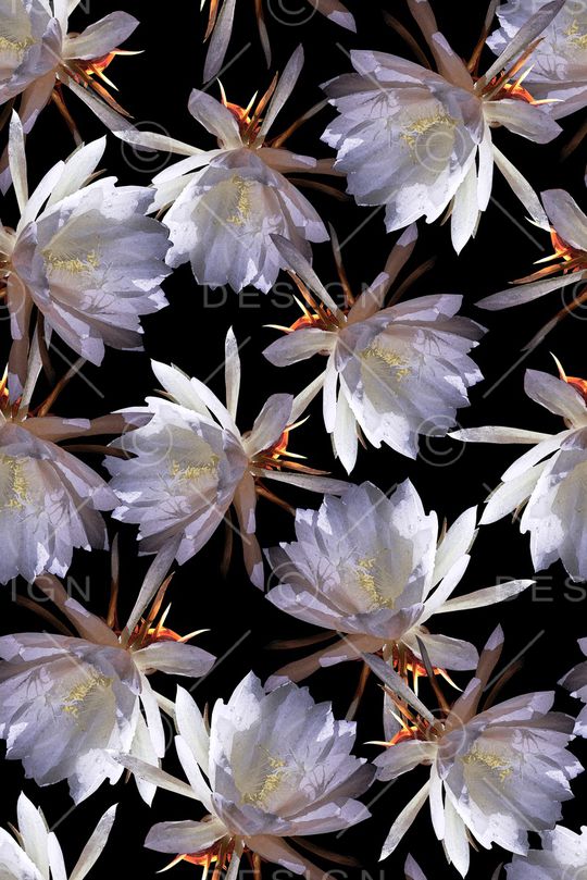 女装印花华亿平台图片