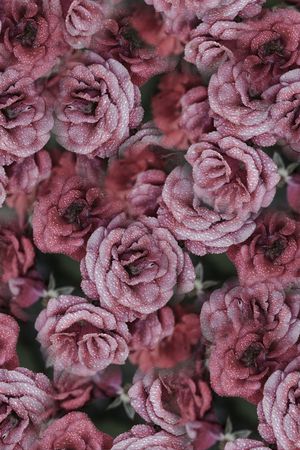 乱花印花华亿平台图片