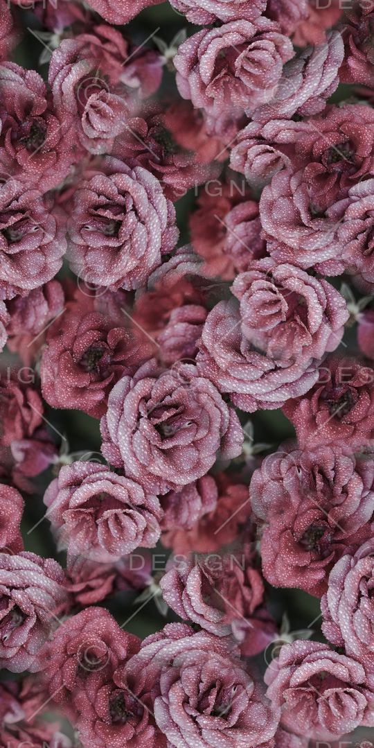 乱花印花华亿平台图片