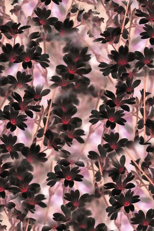 曼陀罗印花华亿平台图片