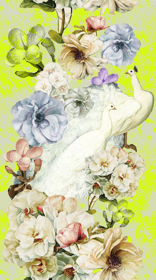 女士印花华亿平台图片