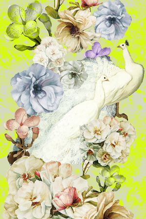 女士印花华亿平台图片