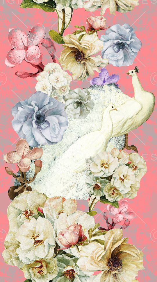 女士印花华亿平台图片