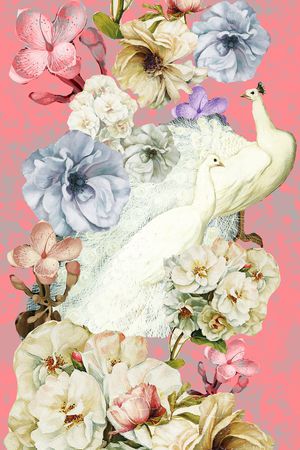 女士印花华亿平台图片