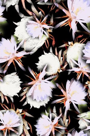 女装印花华亿平台图片