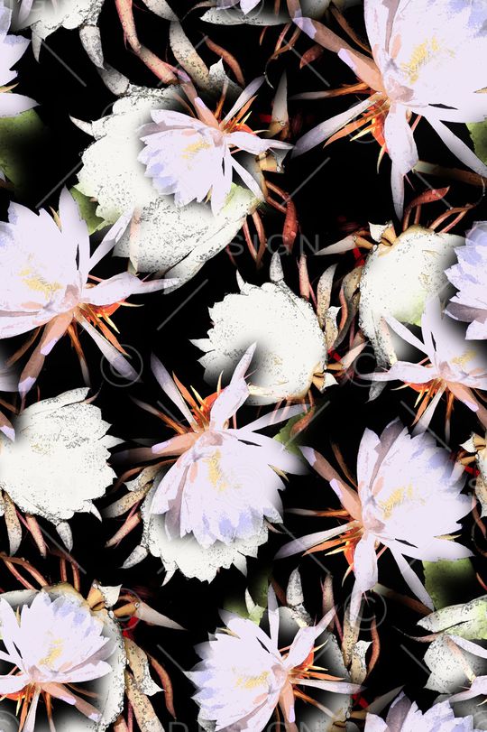 女装印花华亿平台图片