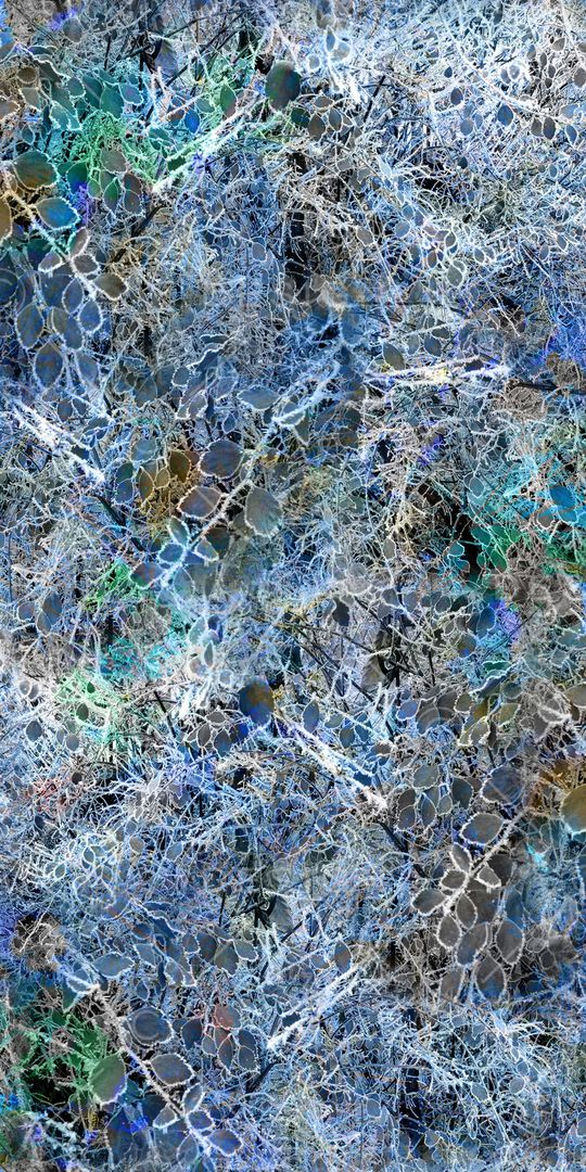 数码印花华亿平台图片