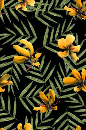 热带印花华亿平台图片