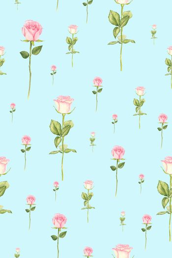 855048-FLZ17-5-30....