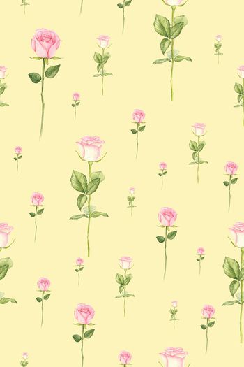 855049-FLZ17-5-30...