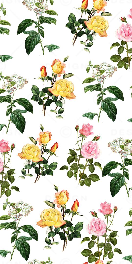 玫瑰印花华亿平台图片