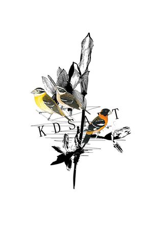 树叶印花华亿平台图片