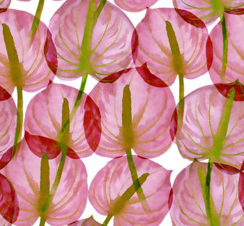 855621-2017-5-20-a-1