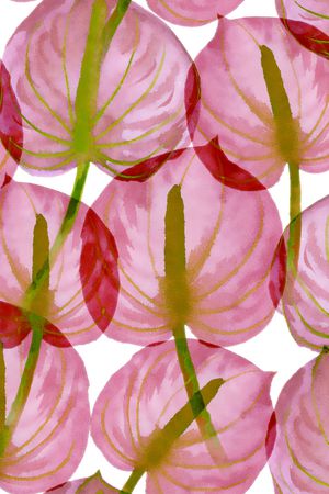 花瓣印花华亿平台图片