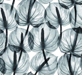 855623-2017-5-20-a-2