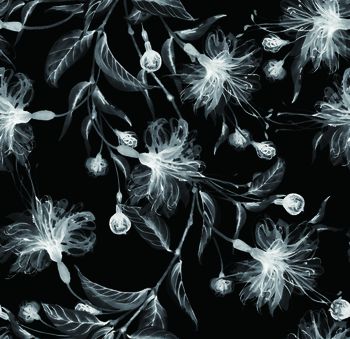 855634-2017-5-20-b-2