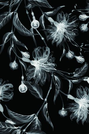 大花印花华亿平台图片