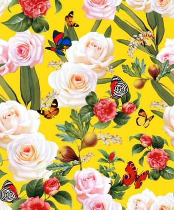 855668-植物花卉3