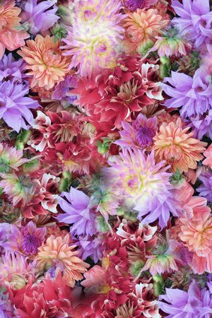 大花印花华亿平台图片