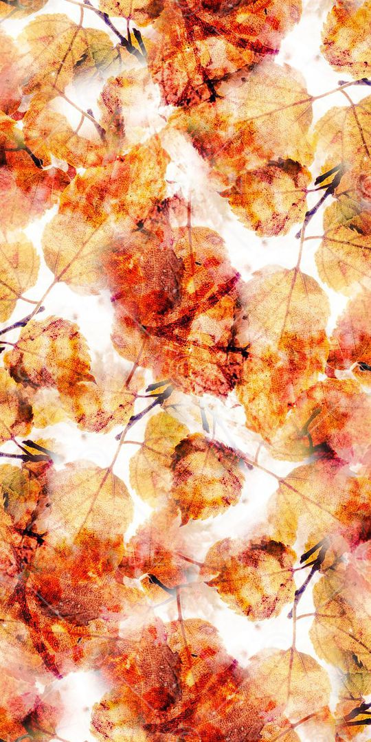 枫叶印花华亿平台图片