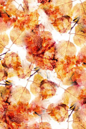 枫叶印花华亿平台图片