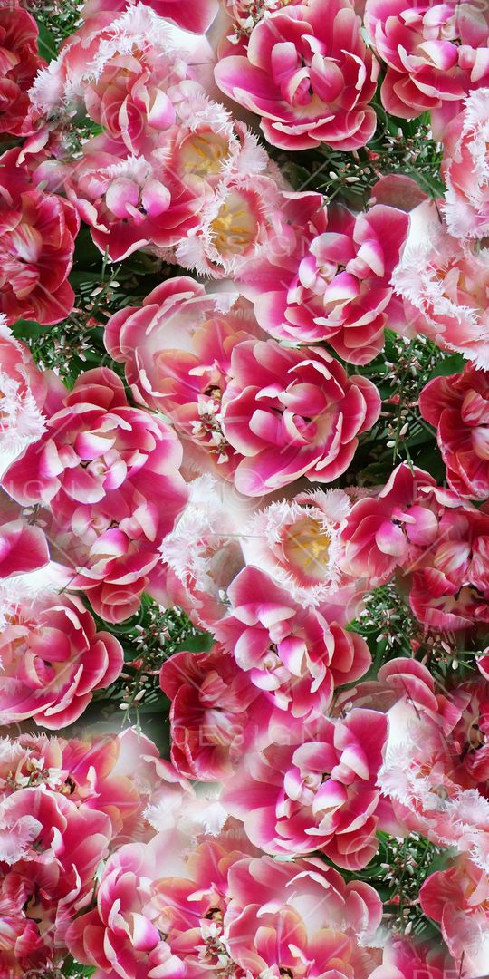 大花印花华亿平台图片