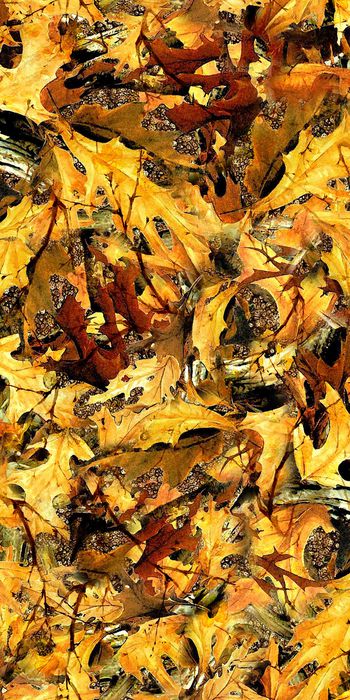 数码印花华亿平台图片