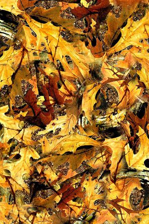 数码印花华亿平台图片